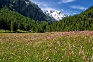 Ranking av livskvalitet 2022 i italienska provinser: Vilka är bäst att bo i?