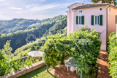 Hus till salu i CAMAIORE (LU)